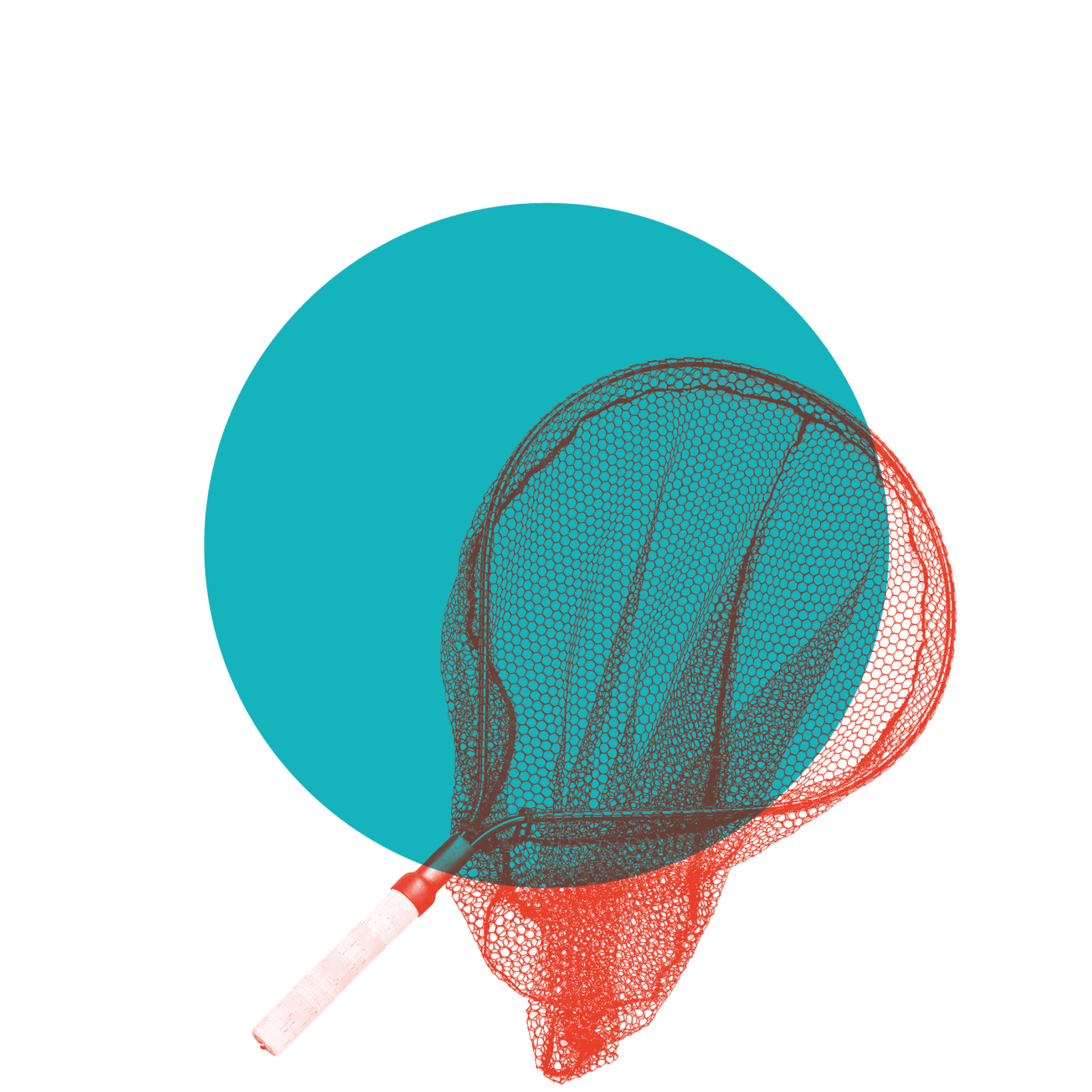 10muskler-mobilisering